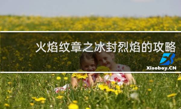 火焰纹章之冰封烈焰的攻略