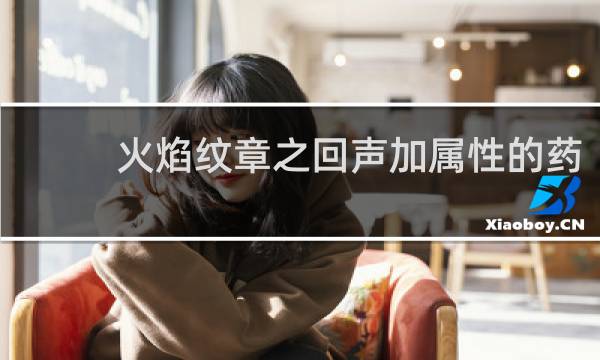 火焰纹章之回声加属性的药