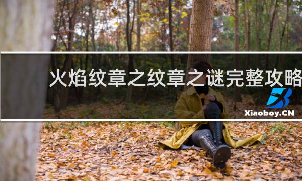 火焰纹章之纹章之谜完整攻略
