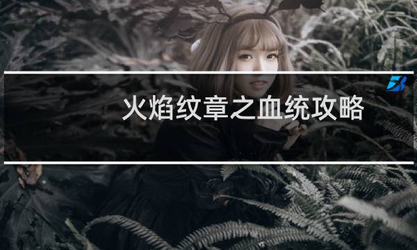火焰纹章之血统攻略