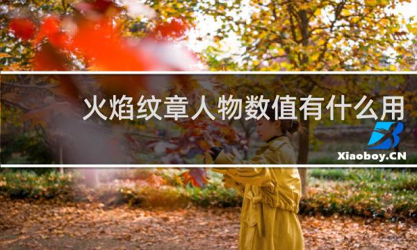 火焰纹章人物数值有什么用