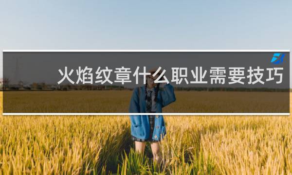 火焰纹章什么职业需要技巧