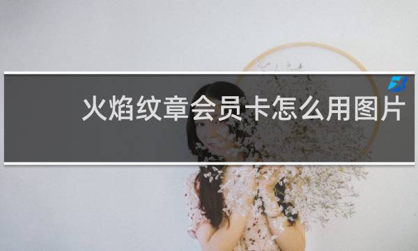 火焰纹章会员卡怎么用图片