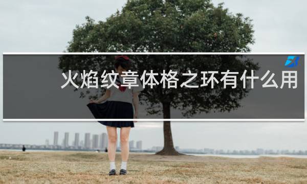 火焰纹章体格之环有什么用