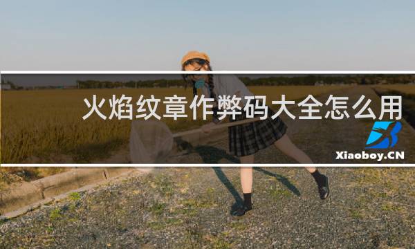 火焰纹章作弊码大全怎么用