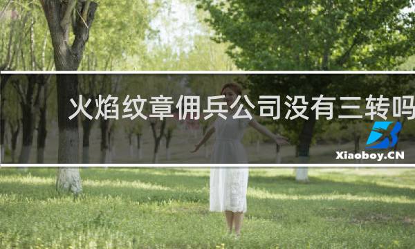 火焰纹章佣兵公司没有三转吗