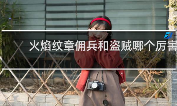 火焰纹章佣兵和盗贼哪个厉害