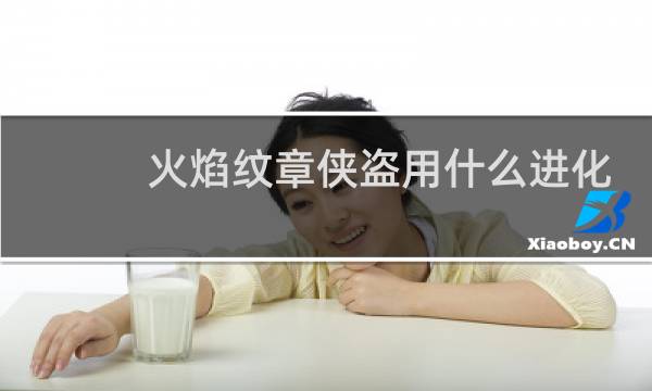 火焰纹章侠盗用什么进化