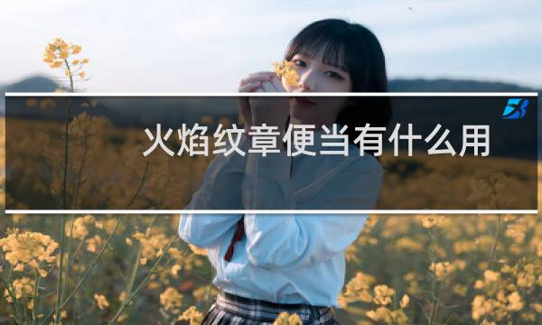 火焰纹章便当有什么用