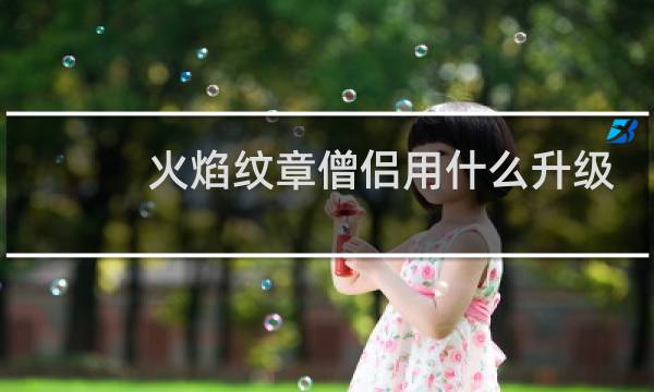 火焰纹章僧侣用什么升级