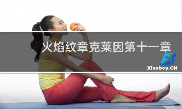 火焰纹章克莱因第十一章
