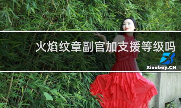 火焰纹章副官加支援等级吗