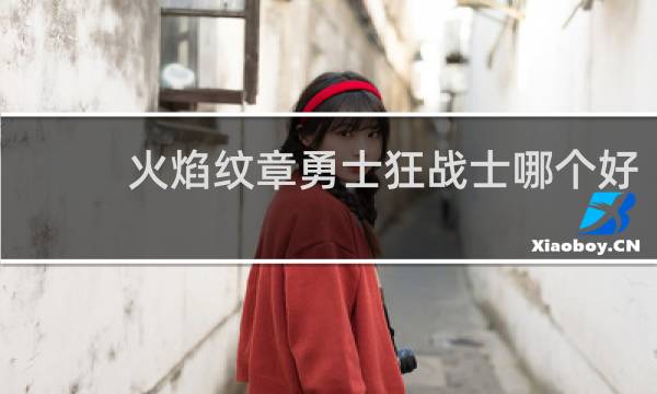 火焰纹章勇士狂战士哪个好