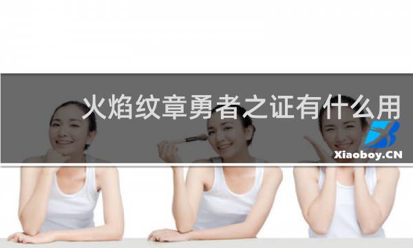 火焰纹章勇者之证有什么用