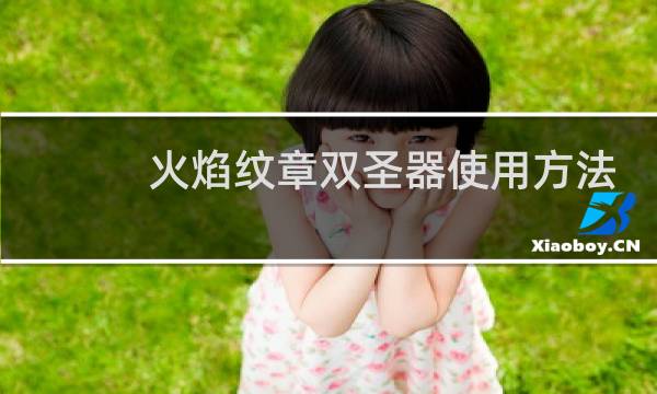 火焰纹章双圣器使用方法