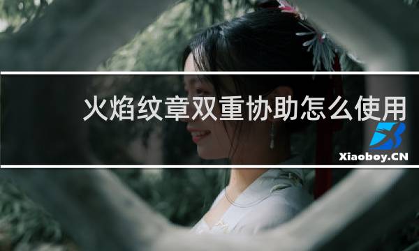 火焰纹章双重协助怎么使用