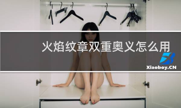 火焰纹章双重奥义怎么用