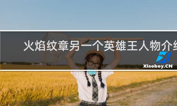 火焰纹章另一个英雄王人物介绍
