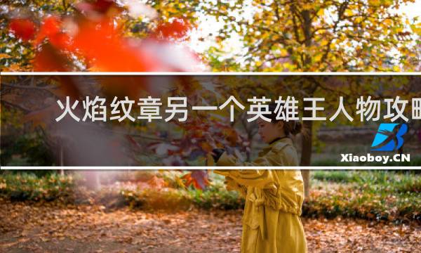 火焰纹章另一个英雄王人物攻略