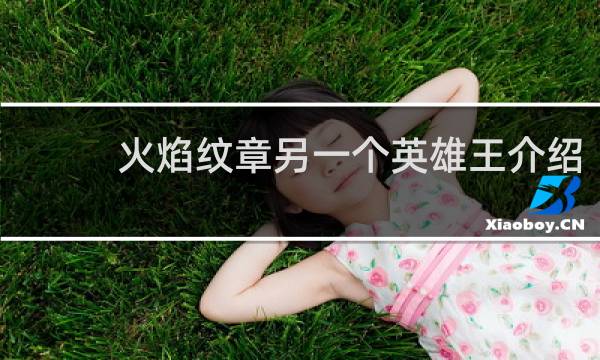 火焰纹章另一个英雄王介绍