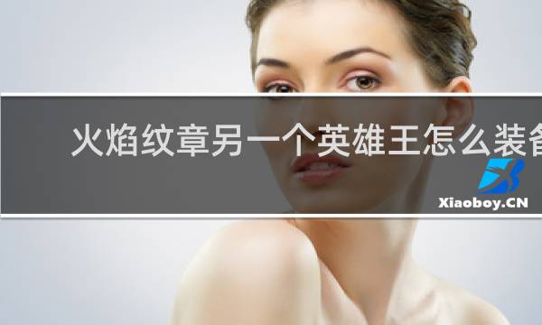 火焰纹章另一个英雄王怎么装备