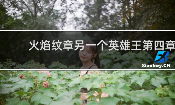 火焰纹章另一个英雄王第四章
