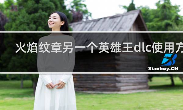 火焰纹章另一个英雄王dlc使用方法