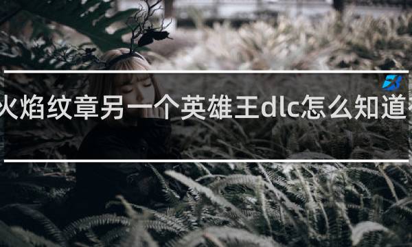 火焰纹章另一个英雄王dlc怎么知道有了没