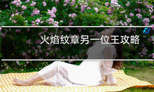 火焰纹章另一位王攻略
