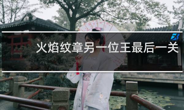 火焰纹章另一位王最后一关