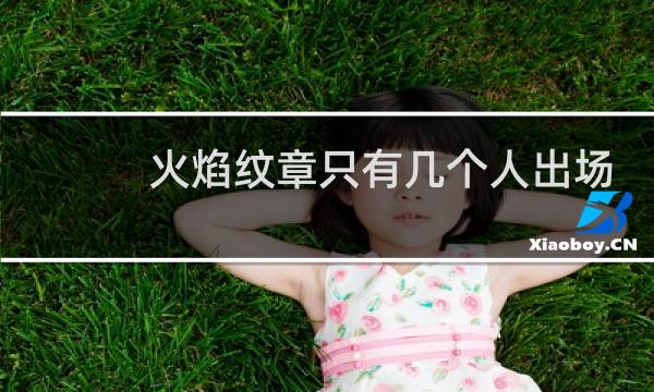 火焰纹章只有几个人出场