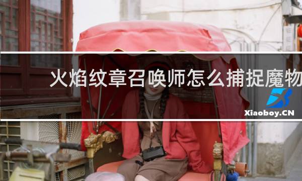 火焰纹章召唤师怎么捕捉魔物