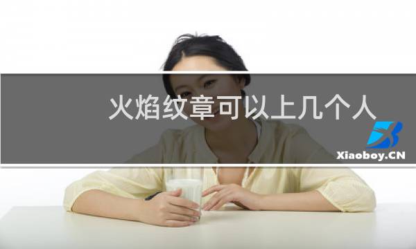 火焰纹章可以上几个人