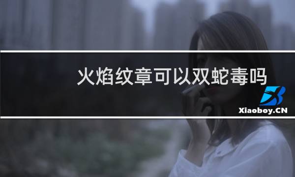 火焰纹章可以双蛇毒吗