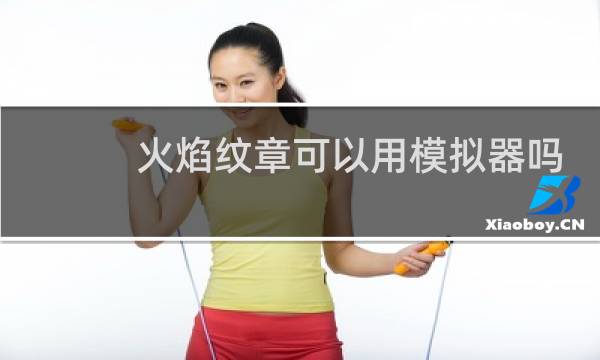 火焰纹章可以用模拟器吗