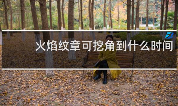 火焰纹章可挖角到什么时间