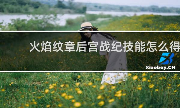 火焰纹章后宫战纪技能怎么得