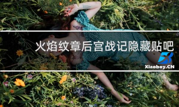 火焰纹章后宫战记隐藏贴吧