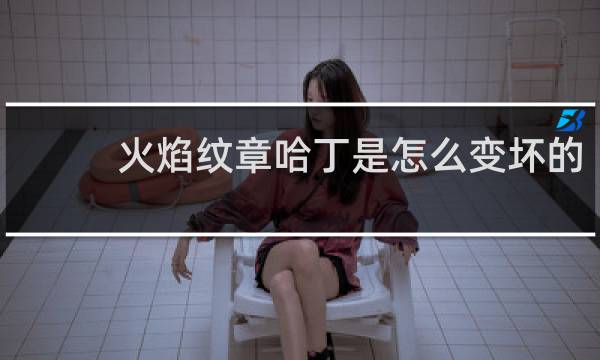 火焰纹章哈丁是怎么变坏的