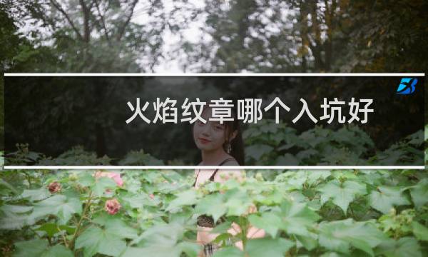 火焰纹章哪个入坑好