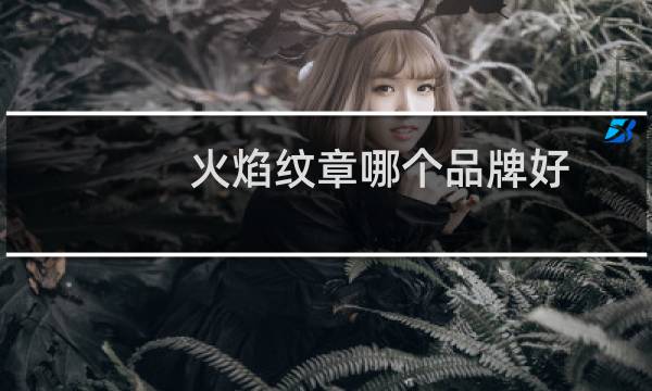火焰纹章哪个品牌好