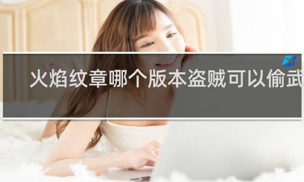 火焰纹章哪个版本盗贼可以偷武器