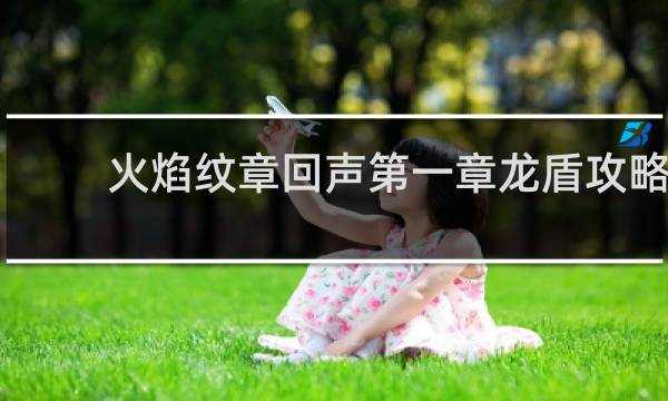 火焰纹章回声第一章龙盾攻略