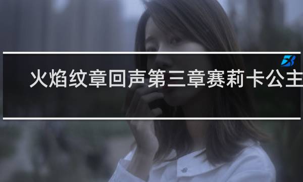 火焰纹章回声第三章赛莉卡公主队
