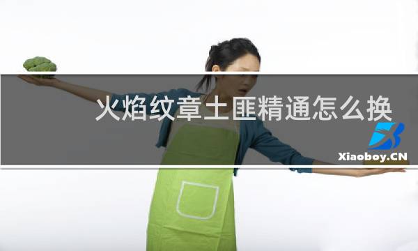 火焰纹章土匪精通怎么换