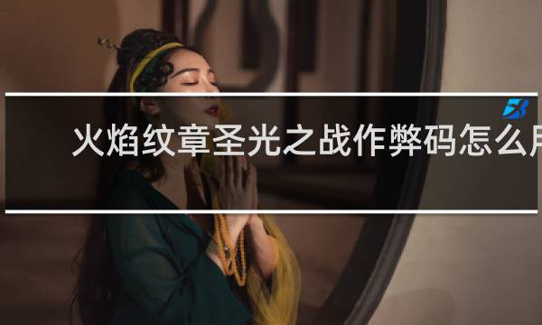 火焰纹章圣光之战作弊码怎么用