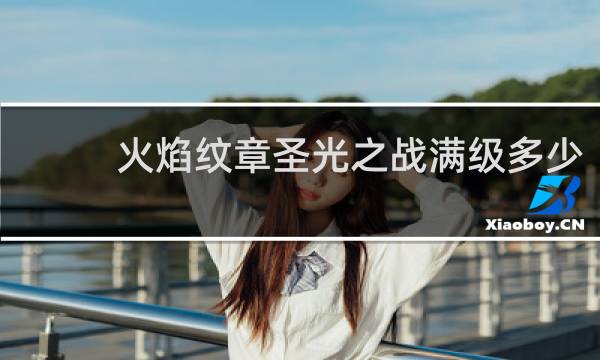 火焰纹章圣光之战满级多少