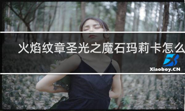 火焰纹章圣光之魔石玛莉卡怎么收
