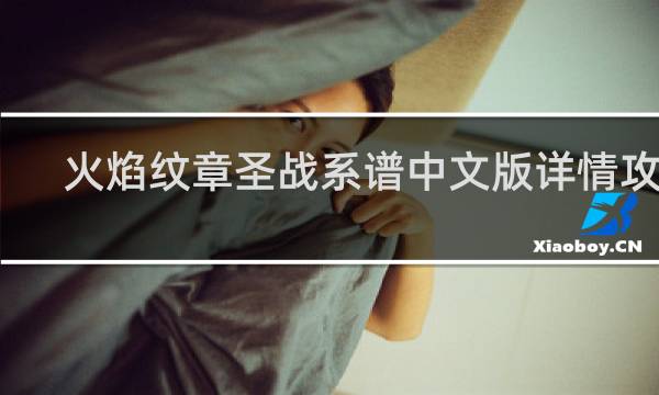 火焰纹章圣战系谱中文版详情攻略