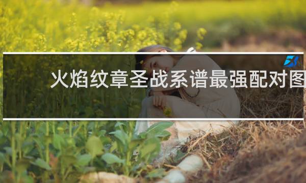 火焰纹章圣战系谱最强配对图